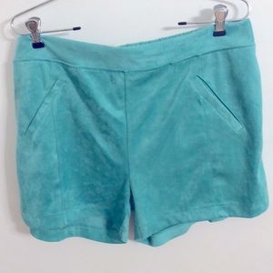 Crazy Train Teal Soft Shorts XXL with Pockets